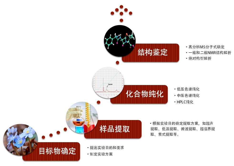 小分子代谢物分析|德航五洲暨品科研科技服务