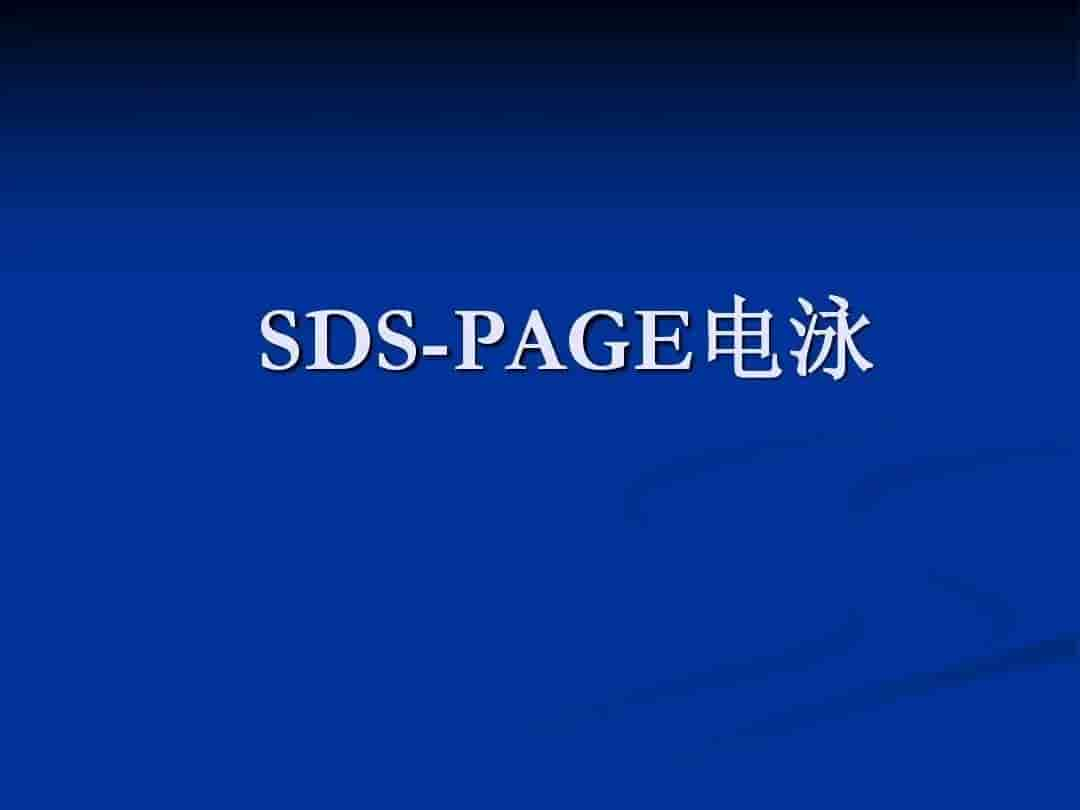 SDS-PAGE凝胶电泳的Q&A